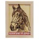 Доска для выжигания в рамке 'Лошадь', основа из фанеры, рамка 13х18 см, LORI, Вр-018