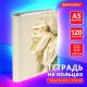 Тетрадь на кольцах А5 175х215 мм, 120 листов, твердый картон, фольга, клетка, BRAUBERG, 'Softness', 404722