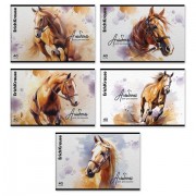 Альбом для рисования, А4, 40 л., скоба, TWIN-лак, ERICH KRAUSE, 203х297 мм, 'Wild Mane' (микс в спайке), 63450