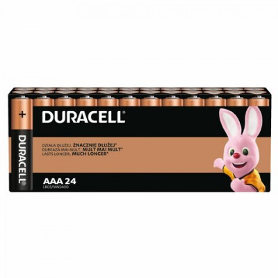 Батарейки КОМПЛЕКТ 24шт, DURACELL Basic ОРИГИНАЛ, ААА (LR03,24А), алкалиновые, мизинч, Б0064969