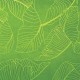 Ежедневник датированный 2021 А5 (138х213 мм) BRAUBERG 'Foliage', кожзам, зеленый, 111481