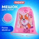 Мешок для обуви ПИФАГОР, 1 отделение, 42х34 см, 'Fluffy akita', 272385