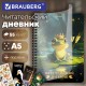 Дневник читательский А5, 58 листов, гребень, пластиковая обложка, картон, BRAUBERG, 'Царевна-Лягушка', 118522