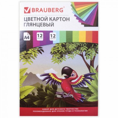 Картон цветной А4 МЕЛОВАННЫЙ (глянцевый), 12 листов 12 цветов, в папке, BRAUBERG, 200х290 мм, 'Килиманджаро', 129917