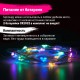 Электрогирлянда-нить комнатная 'Роса' 2 м, 20 LED, мультицветная, на батарейках, ЗОЛОТАЯ СКАЗКА, 591101