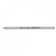 Ручка шариковая масляная PENSAN 'Triball', САЛАТОВАЯ, трехгранная, узел 1 мм, линия письма 0,5 мм, 1003/12