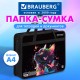 Папка на молнии с ручками BRAUBERG А4, 1 отделение, пластик, 80 мм, 'Butterfly catcher', 272165