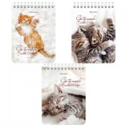 Блокнот МАЛЫЙ ФОРМАТ А6 108х145 мм, 40 л., гребень, картон, клетка, BRAUBERG, 'Милые котята', 114391