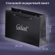 Ручка шариковая GALANT 'Marburg', корпус серебристый, ежедневник недатированный А5 черный, пакет, 880905