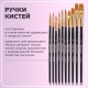 Кисти синтетика BRAUBERG, НАБОР 10 шт., черные (Круглые; Овальные; Плоские; Лайнеры), 201028
