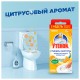 Освежитель/очиститель для унитаза/писсуара 3 шт., ТУАЛЕТНЫЙ УТЕНОК 'Цитрус', стикер чистоты, 358976