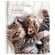 Тетрадь А5, 96 л., BRAUBERG, гребень, клетка, обложка картон, 'Котики' (микс в спайке), 404425