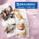 Тетрадь А5, 96 л., BRAUBERG, гребень, клетка, обложка картон, 'Котики' (микс в спайке), 404425