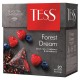 Чай TESS (Тесс) 'Forest Dream', черный с малиной и черникой, 20 пирамидок по 1,8 г, 0784-12