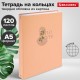 Тетрадь на кольцах А5 165х215 мм, 120 листов, твердый картон, клетка, BRAUBERG, 'Pastel Flower', 404710