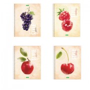 Тетрадь А5, 80 л., HATBER ECO, спираль, клетка, обложка картон, 'Fruit Style' (4 вида), 80Т5C1сп