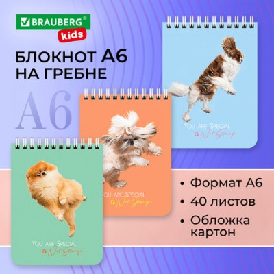 Блокнот МАЛЫЙ ФОРМАТ 108х145мм, А6, 40л, гребень, картон, клетка, BRAUBERG KIDS, 'Кактусики', 114394