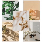 Тетради ДЭК А5 48 л. КОМПЛЕКТ 5 шт. BRAUBERG, скоба, клетка, SoftTouch, 'ЭСТЕТИКА', 404949