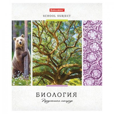 Тетрадь предметная 'УЧЕНЬЕ СВЕТ' 48 л., обложка картон, БИОЛОГИЯ, клетка, подсказ, BRAUBERG ЭКО, 403528