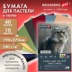 Бумага для пастели АБРАЗИВНАЯ А4 в коробке, 40 листов, 10 цветов, 240 г/м2, BRAUBERG ART, 117767