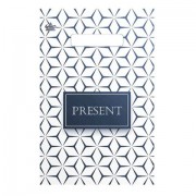 Пакет с вырубной ручкой ПВД, 30х20 см, 'Презент', 30 мкм, н00255554