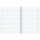 Тетрадь предметная SILVER 48 листов, металлизированный картон, РУССКИЙ ЯЗЫК, линия, подсказ, BRAUBERG, 404021