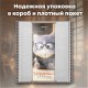 Дневник читательский А5, 58 листов, гребень, пластиковая обложка, картон, BRAUBERG, 'Котик', 118520
