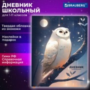 Дневник 1-11 класс 48л, кожзам (твердая с поролоном), печать, наклейки, BRAUBERG, Сова, 106947