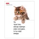 Тетрадь А5 48 л., HATBER скоба, клетка, обложка картон, 'Котоюмор' (микс в спайке), 079790, 48Т5В1