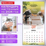 Календарь настенный перекидной 2025г, BRAUBERG, 12 листов, 22,5х22,5см, МИНИ, 'Не падай духом', 116178