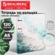 Тетрадь на кольцах А5, 175х215 мм, 120 л., под кожу, BRAUBERG VISTA, 'Акварель', 405217