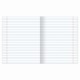 Тетрадь предметная 'КЛАССИКА' 48 л., обложка картон, РУССКИЙ ЯЗЫК, линия, подсказ, BRAUBERG, 403521