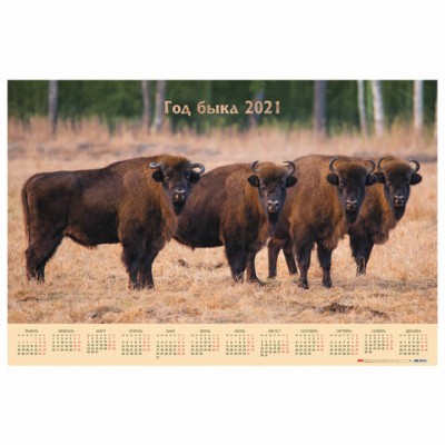 Календарь настенный листовой, 2021 год, А1 формат, 90х60 см, 'Знак года', HATBER, Кл1_23510