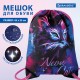 Мешок для обуви BRAUBERG PREMIUM, карман, подкладка, светоотражайка, 43х33 см, 'Neon cat', 271621
