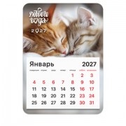 Календарь отрывной на магните на 2027 г., BRAUBERG, 130x180 мм, склейка, 'Котики', 118478