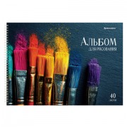 Альбомы для рисования ДЭК, А4, 40 л., КОМПЛЕКТ 2 шт., гребень, глянцевый лак, BRAUBERG, 200х290 мм, 'Кисти', 107735