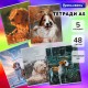 Тетради ДЭК А5 48 л. КОМПЛЕКТ 5 шт., BRAUBERG скоба, клетка, глянцевый лак, 'Собачки', 404676