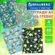 Тетради ДЭК А5 48 л. КОМПЛЕКТ 4 шт., BRAUBERG, гребень, клетка, TWIN лак, 'Карпы Кои', 404661