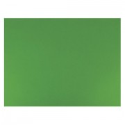 Бумага (картон) для творчества (1 лист) SADIPAL 'Sirio' А2+ (500х650 мм), 240 г/м2, зеленый мох, 7877