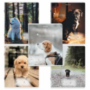 Тетради ДЭК 18 л. КОМПЛЕКТ 10 шт., BRAUBERG, клетка, обложка картон, Щеночки, 106758