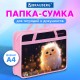 Папка на молнии с ручками BRAUBERG А4, 1 отделение, пластик, 80 мм, 'Маленькая прелесть', 273367