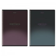 Тетради ДЭК А4 96 л. КОМПЛЕКТ 2 шт. BRAUBERG гребень, клетка, SoftTouch, 'Peaceful', 404875