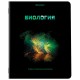 Тетради предметные, КОМПЛЕКТ 12 ПРЕДМЕТОВ, 48 л., глянцевый УФ-лак, BRAUBERG, 'SHADE', 404324