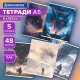 Тетради ДЭК А5 48 л. КОМПЛЕКТ 5 шт. BRAUBERG, скоба, клетка, TWIN-лак, 'MAGICAL WORLD', 404947