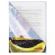 Папка-уголок BRAUBERG 'FRESH ZONE', А4, 150 мкм, цветная печать, 228035
