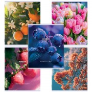 Тетрадь А5 48 л. STAFF 'College', скоба, клетка, офсет №2 ЭКОНОМ, обложка картон, 'ПРИРОДА', 405626