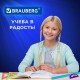 Набор чертежный большой BRAUBERG 'FRUITY' (линейка 30 см, 2 треугольника, транспортир), пенал, 210772