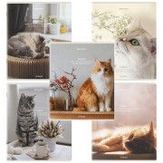 Тетради ДЭК А5 48 л. КОМПЛЕКТ 5 шт. BRAUBERG, скоба, клетка, матовая ламинация, 'Cats', 404673