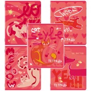 Тетради ДЭК А5 48 л. КОМПЛЕКТ 5 шт. BRAUBERG, скоба, клетка, TWIN-лак, 'PINK MOOD', 404930