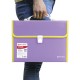 Папка-портфель пластиковая BRAUBERG 'JOY', А4 (330х245х35 мм), 13 отделений, с окантовкой, фиолетовая, 227977